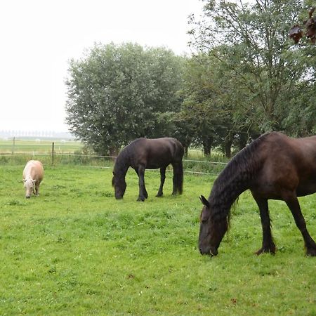 Apartment Het Friesche Paard Purmer Dış mekan fotoğraf