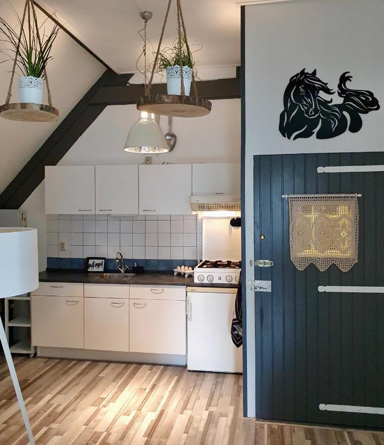 Apartment Het Friesche Paard Purmer Dış mekan fotoğraf